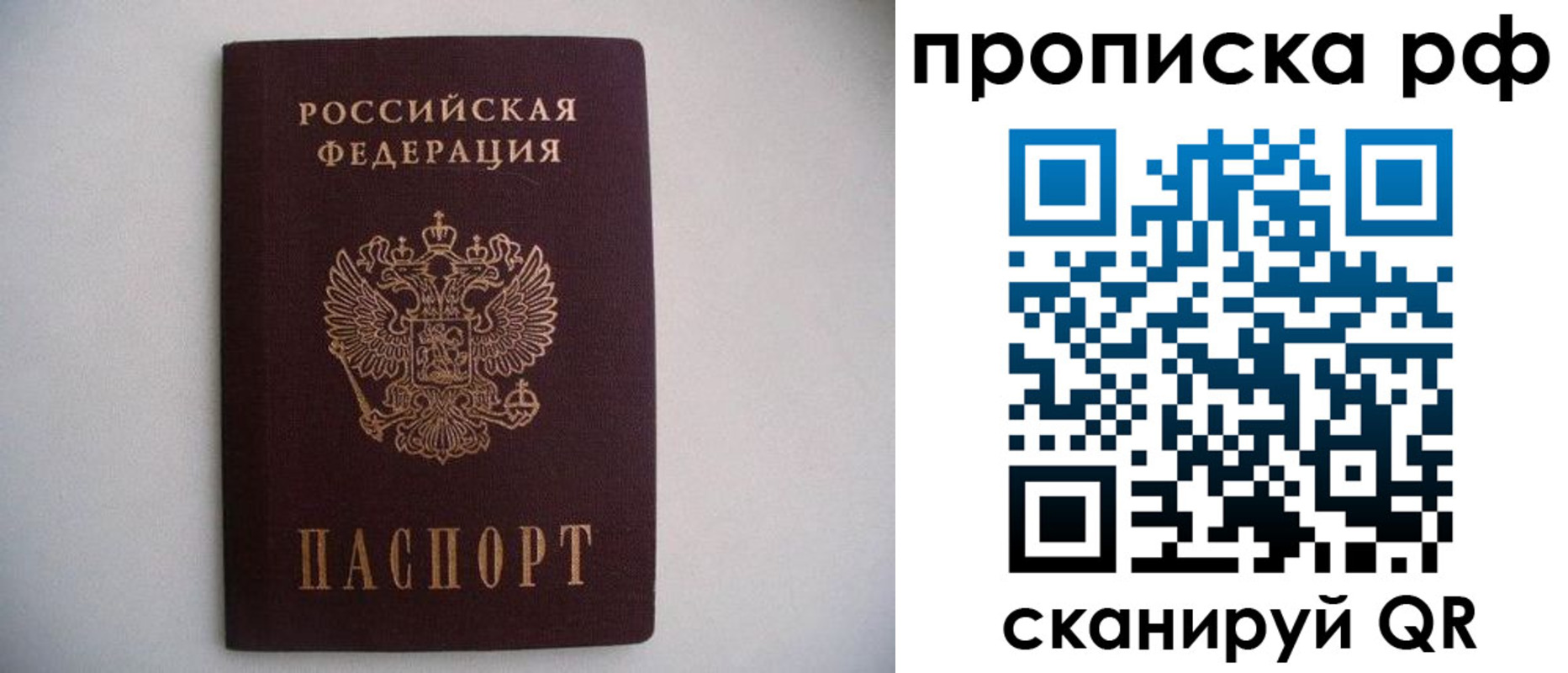 временная регистрация гарантия в Камышине