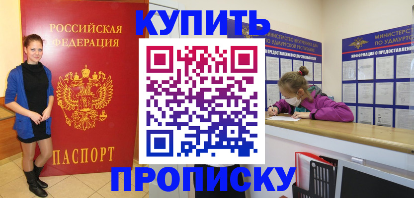 прописка поиск в Камышине